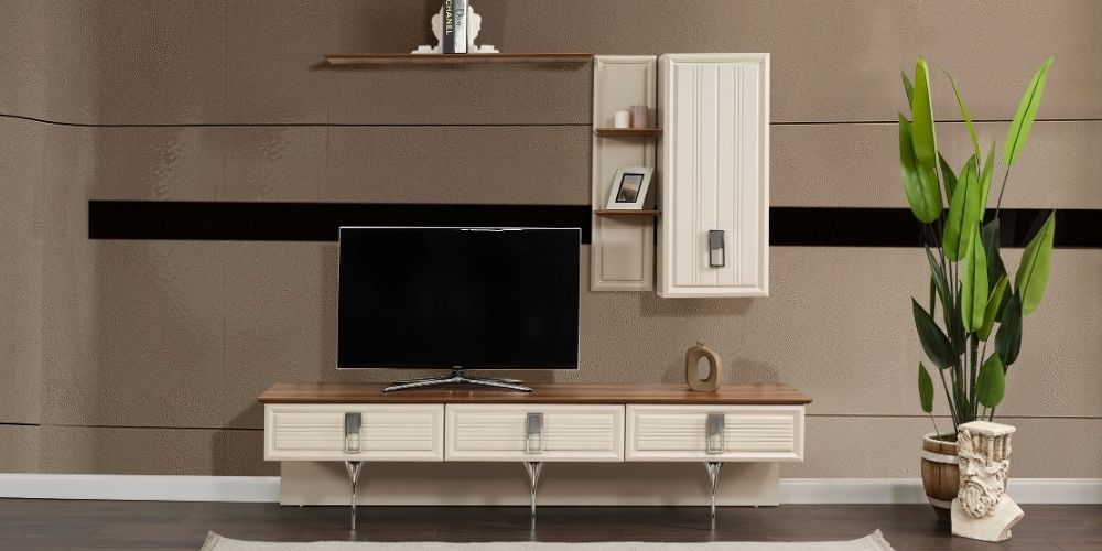 Asya TV Ünitesi