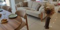 P6941 Loft Koltuk Takımı - EVONA DESIGN Detay 2