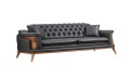 P7853 TESLA KOLTUK TAKIMI - ROLİ SOFA Detay 1
