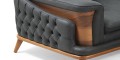 P7853 TESLA KOLTUK TAKIMI - ROLİ SOFA Detay 2