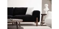 P5729 Elegans - PENNA SOFA Detay 6