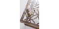 P6295 Invictus Orta Sehpa - TABA HOME Detay 5