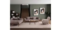 P5901 Pastel Koltuk Takımı - SALIH TOPCU Ana Resim